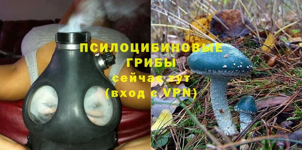 трава Балабаново
