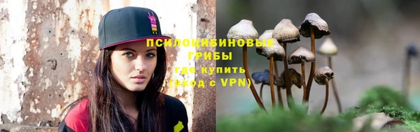 Альфа ПВП Рославль