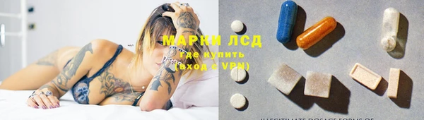 стаф Балахна