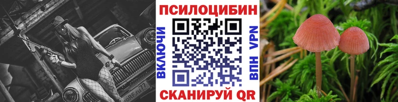 Галлюциногенные грибы мицелий  Губкинский 